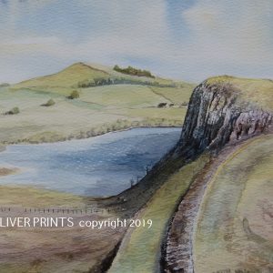 Landscapes, Philip Oliver, Tynedale, RAF, Prints Aircraft, Tractors