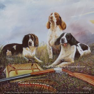 Landscapes, Philip Oliver, Tynedale, RAF, Prints Aircraft, Tractors