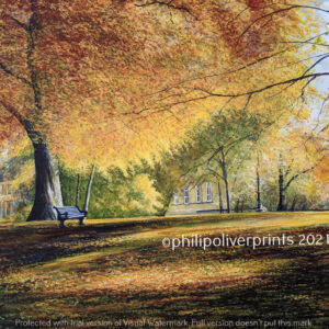 Hexham Park, Northumberland. Print by Philip Oliver